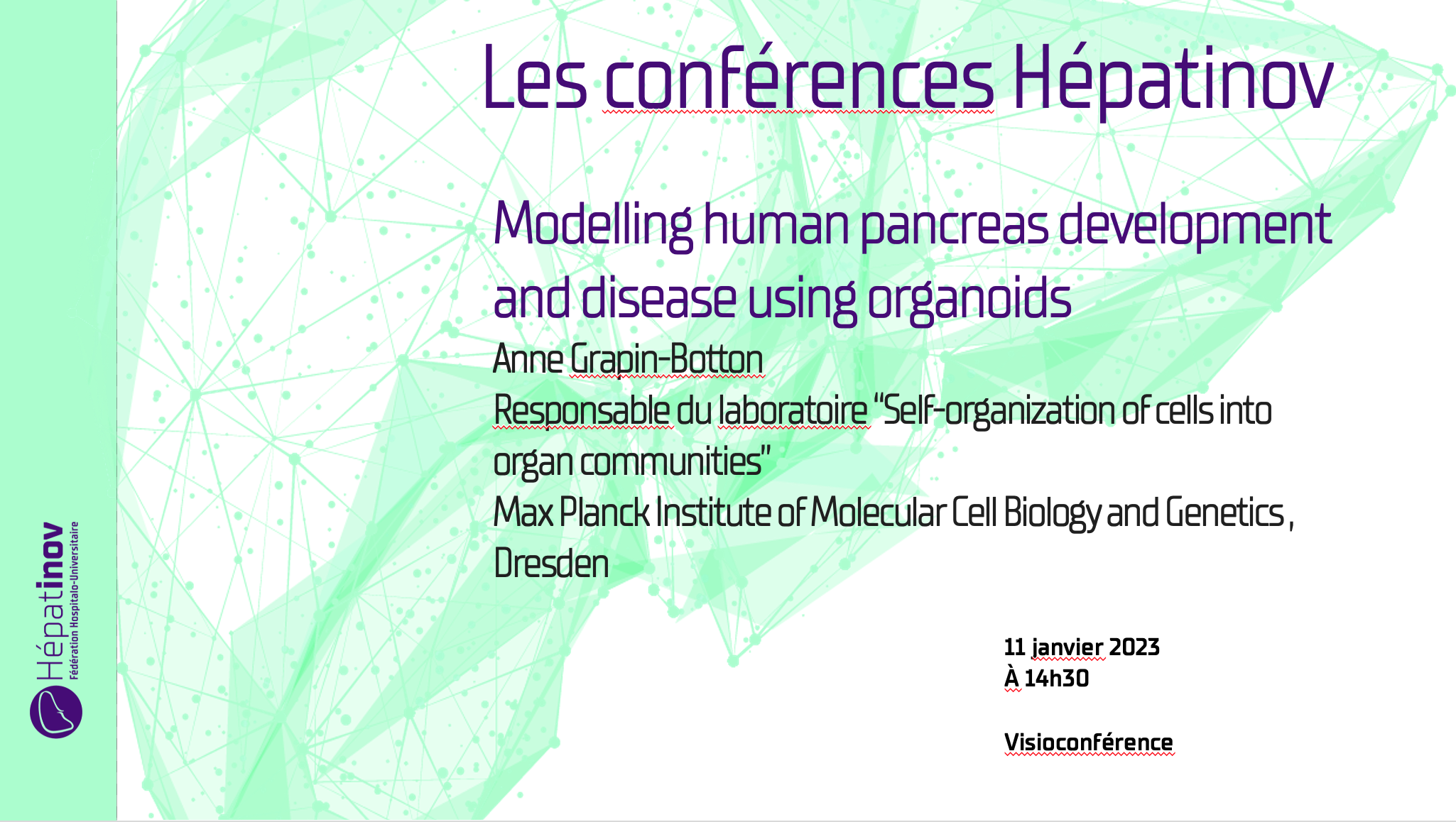Les conférences Hépatinov - Modelling human pancreas development and disease using organoids - 11 janvier 2023