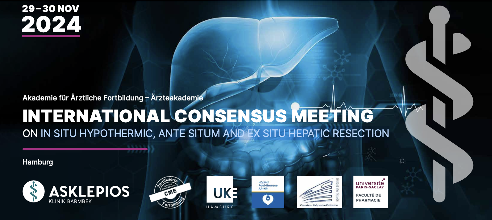 In situ hypothermic, ante situm ans ex situ hepatic resections