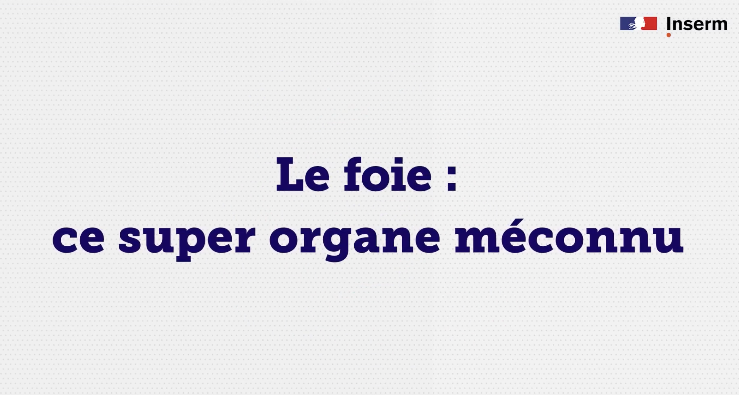 Le foie: ce super-organe méconnu